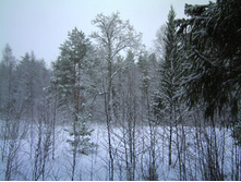 PICT0024.JPG