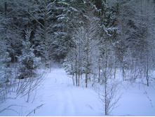 PICT0033.JPG