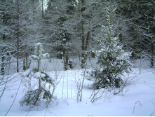 PICT0034.JPG