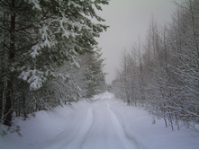 PICT0041.JPG