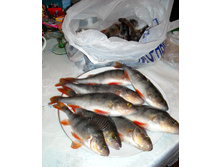 DSCN7709.jpg
