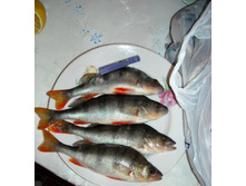 DSCN7713.jpg