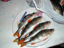 DSCN7714.jpg