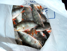 DSCN7715.jpg