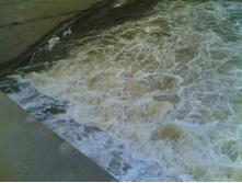 01.08.2009 13:29:07