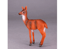 bpic_0046600.gif
