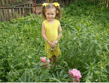 02.08.2009 12:02:03
