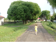 02.08.2009 12:05:06