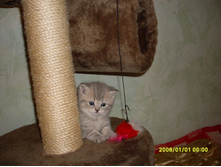 SDC10229.JPG
