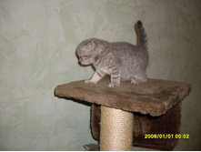 SDC10236.JPG