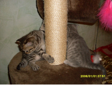 SDC10253.JPG