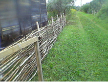 ����-0140.jpg