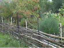 ����-0141.jpg