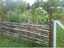 ����-0142.jpg