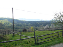 P1000075