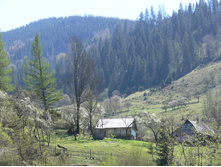 P1000262