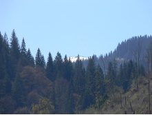 P1000269