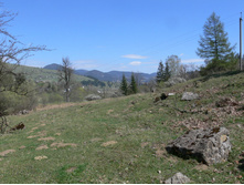 P1000270
