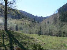 P1000273