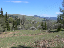 P1000274