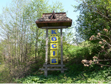 P1000391