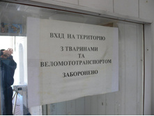 P1000433