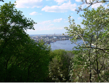 P1000554