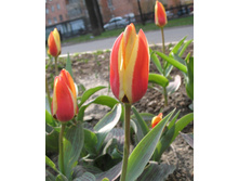 04.05.07