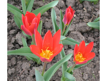 05.05.07