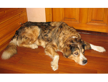 ������