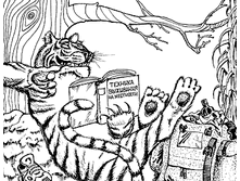 tiger