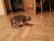 20130206002450.jpg