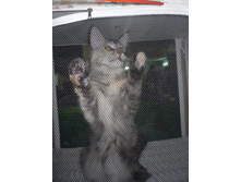 05.01.2012 13:00:14