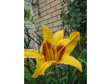 05.08.2009 21:13:59