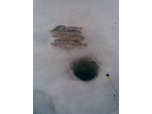 05.01.2012 14:59:23