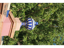 IMG_6661_thumb.jpg