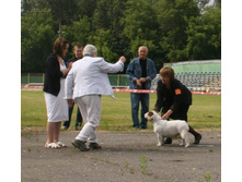 2012-06-24 10-29-11 - IMG_2595.JPG
