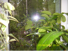 ST837690.JPG