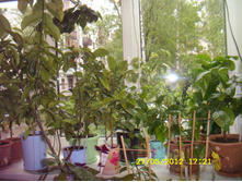ST837693.JPG