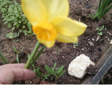 ����-0067.jpg