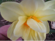 ����-0068.jpg