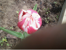 ����-0069.jpg