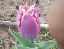 ����-0070.jpg