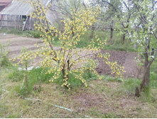 ����-0074.jpg