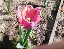 ����-0077.jpg