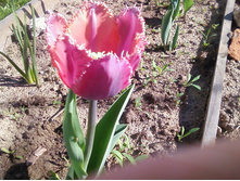 ����-0078.jpg