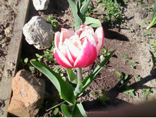 ����-0079.jpg