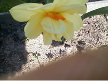 ����-0080.jpg