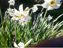 ����-0081.jpg