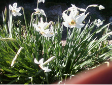 ����-0082.jpg